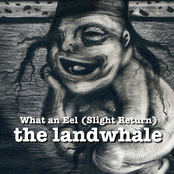 What an Eel (Slight Return)