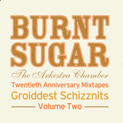 Twentieth Anniversary Mixtapes: Groiddest Schizznits, Vol. Two