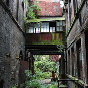 Relics From a Distant Past