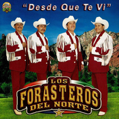 Desde Que Te Vi