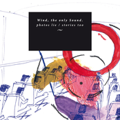 photos lie / stories too