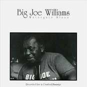Jinx Blues by Big Joe Williams
