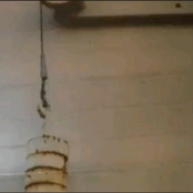 Live at Summersault Festival January 7th, 1996