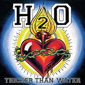 H2O: Thicker Than Water