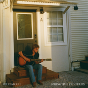 Bo Staloch: Springtime Red Tulips