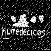 Humedecidos 1982-1984