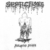 Septic Fumes- Mucilaginous Sewage