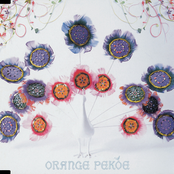 黄金色（きんいろ）の羽根