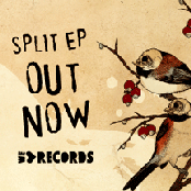 Attack! Vipers! & Astpai