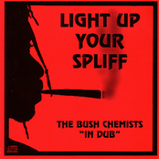 Light Up Your Spliff by Bush Chemists