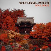 Natural Mojo