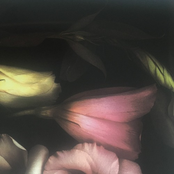 At One Point You Have to Make a Decision