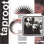 Fear To See by Taproot