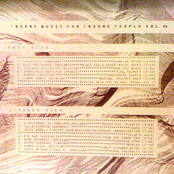 Insane Music For Insane People Vol. 13