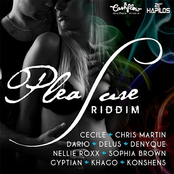 pleasure riddim