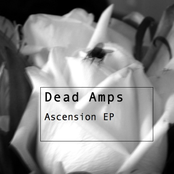 ascension ep