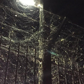 I See White - Single