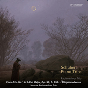 Schubert: Piano Trios