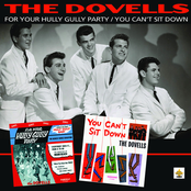 Wildwood Days by The Dovells