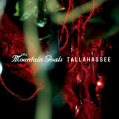 Oceanographer's Choice by The Mountain Goats