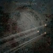 Universal Eye by Brother Ape