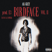 Birdface, Vol. II