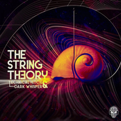 The String Theory