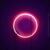 Neon: A Somewhat Adamant Sequel