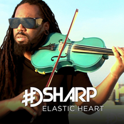 DSharp: Elastic Heart