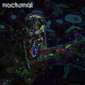 Nocturnal