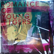 Romance of Young Tigers