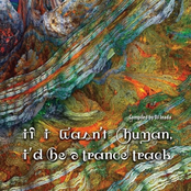 If I Wasn't Human, I'd Be A Trance Track