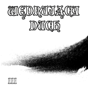 III (Demo 21/08/2021)