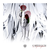 CAPITULUM