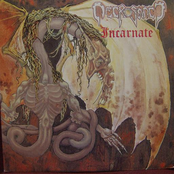 Incarnate LP