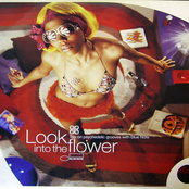 Look into the Flower (Trip on psychedelic grooves with Blue Note)