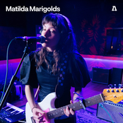 Matilda Marigolds on Audiotree Live