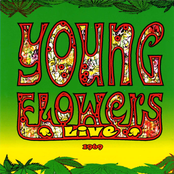 Wake Up This Morning by Young Flowers