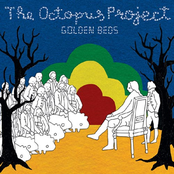 Moon Boil by The Octopus Project