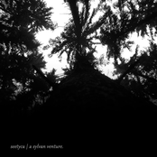 a sylvan venture