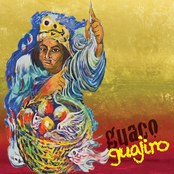 Guaco: Guajiro