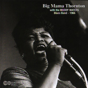 Big Mama Thornton / Muddy Waters Blues Band