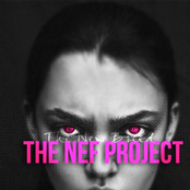 The Nef Project