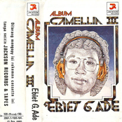 Album Camellia 3