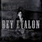 Entre La Luz Y El Odio