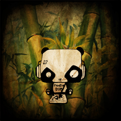 Bambou Vibration by Panda Dub