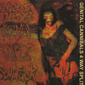 Genital Cannibals 4 Way Split