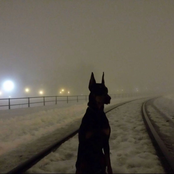 Rather Be Alone (MarijuanaMuzik!)[Reg + Slowed]