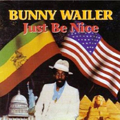 Hit Back The Crack by Bunny Wailer