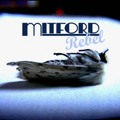 Kings & Fools (working title, TBC)